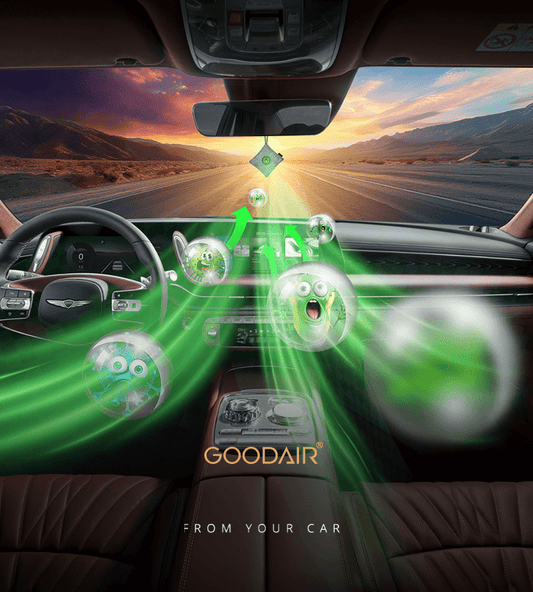 How to Keep Your Car Smelling Fresh Without Chemicals - GOODAIR | India