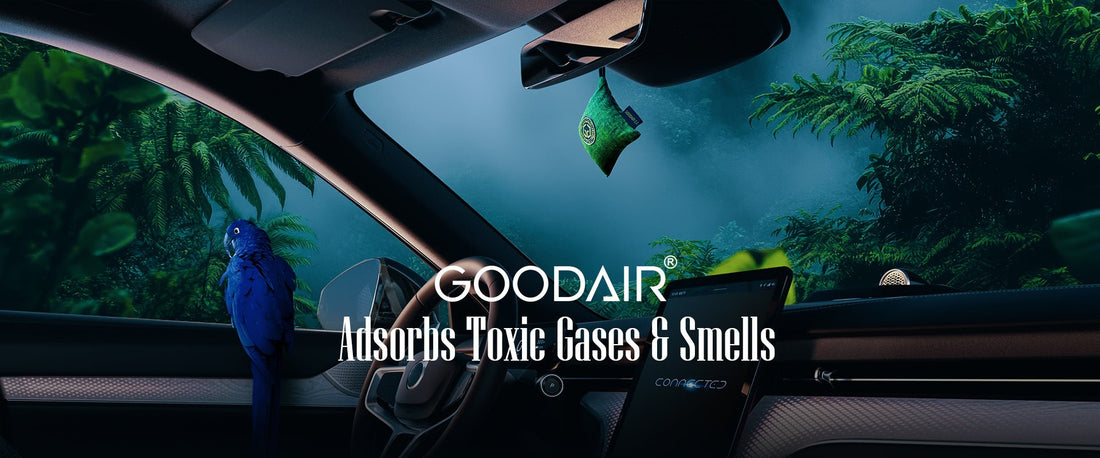 How to Improve Car Air Quality in 5 Simple Steps - GOODAIR | India