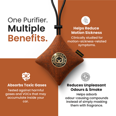 GOODAIR 3.0 Premium Non-electric Car Air Purifier | Romantic Coffee