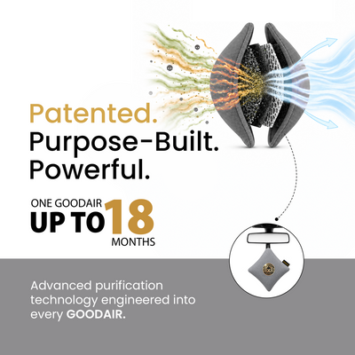 GOODAIR 3.0 Premium Non-electric Car Air Purifier | Elegant Silver