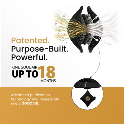 GOODAIR 3.0 Premium Non-electric Car Air Purifier | Super Black