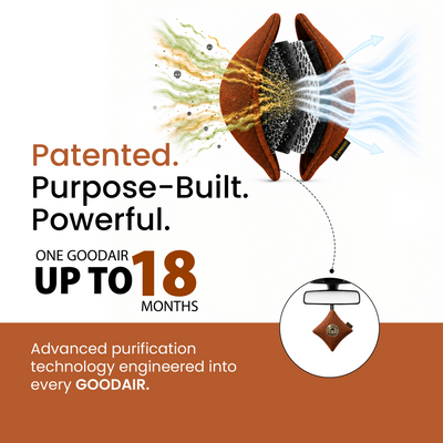 GOODAIR 3.0 Premium Non-electric Car Air Purifier | Romantic Coffee