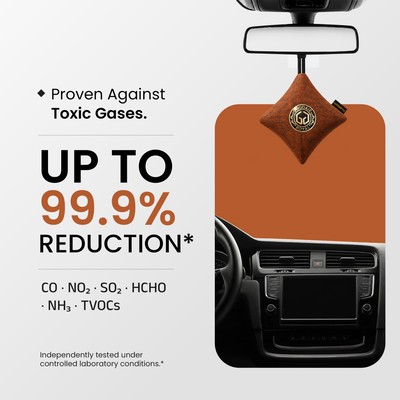 GOODAIR 3.0 Premium Non-electric Car Air Purifier | Romantic Coffee