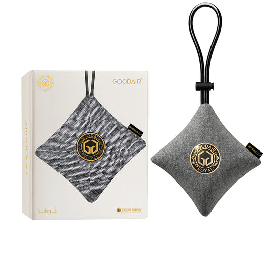 GOODAIR 2.0 Premium Non-electric Car Air Purifier | Elegant Silver
