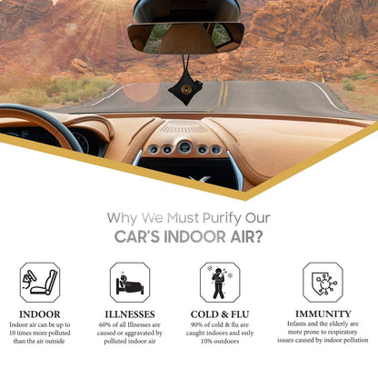 GOODAIR 2.0 Premium Non - electric Car Air Purifier | Super Black - GOODAIR | India